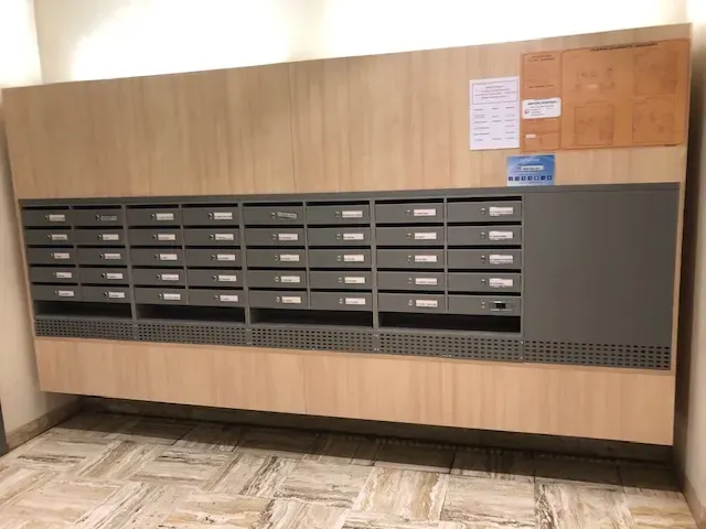 14 BELLE FEUILLES (après)